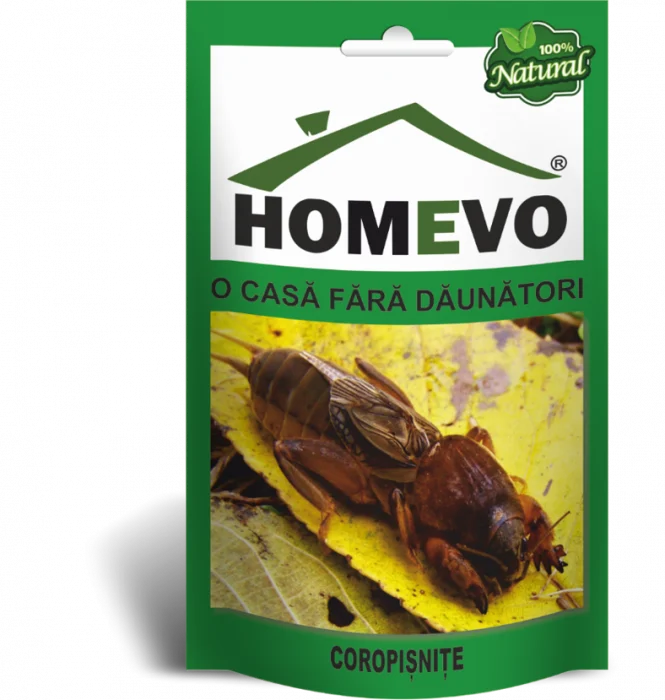 FiiGospodar Homevo - Coropișnițe